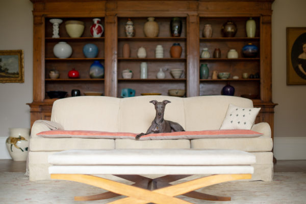 Spotlight on The Lounging Hound - Inside Stylists