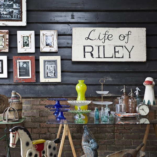 Spotlight On Life of Riley