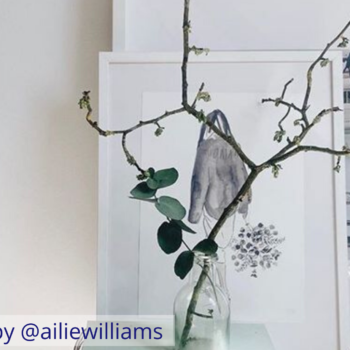 Styling foraged finds from a walk. Delicate branches in a clear glass vase