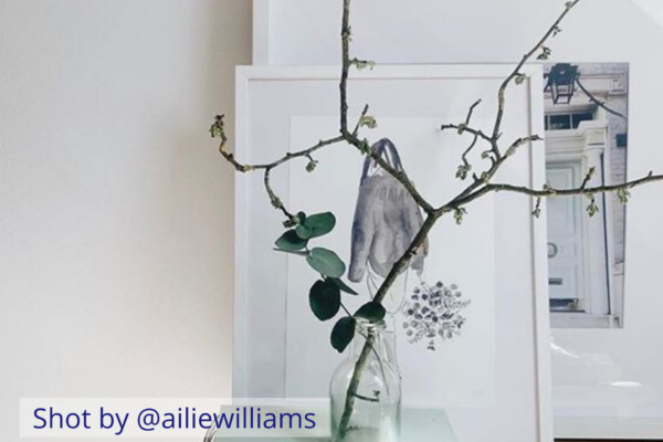 Styling foraged finds from a walk. Delicate branches in a clear glass vase