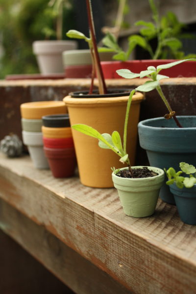 How to use chalk paint outside with Annie Sloan paints