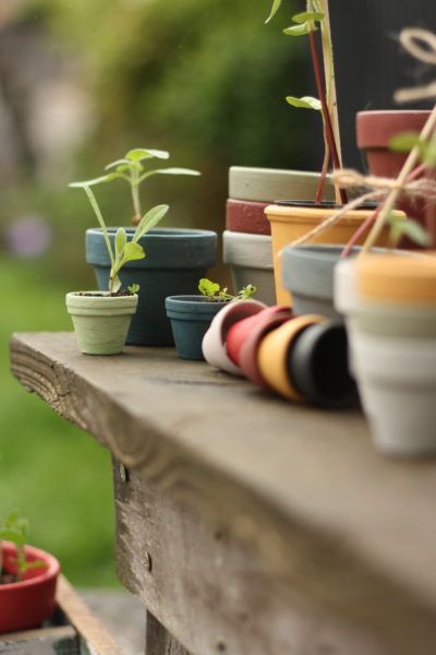 How to use chalk paint outside with Annie Sloan paints