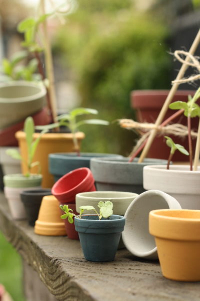 How to use chalk paint outside with Annie Sloan paints