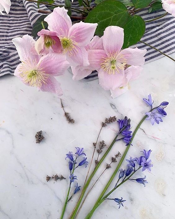 Styling foraged finds from a walk in your home. Pretty pinks flowers and bluebells on a white cloth