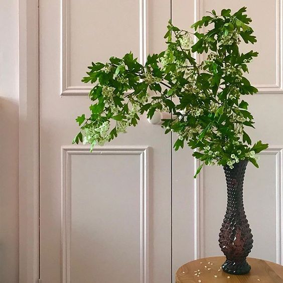 Styling foraged finds from a walk. Some blossom branches in a vase in front of light pink doors.