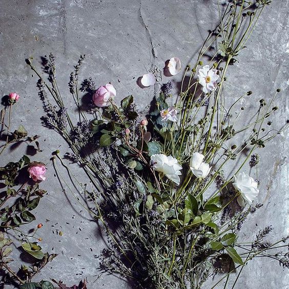 Styling foraged finds from a walk. A collection of beautiful dried flowers.