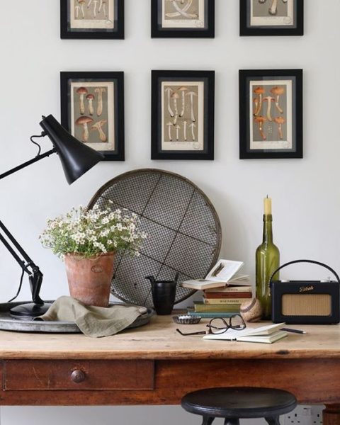 Styling foraged finds. Lifestyle shot of a desk with gardening tools and plant on.