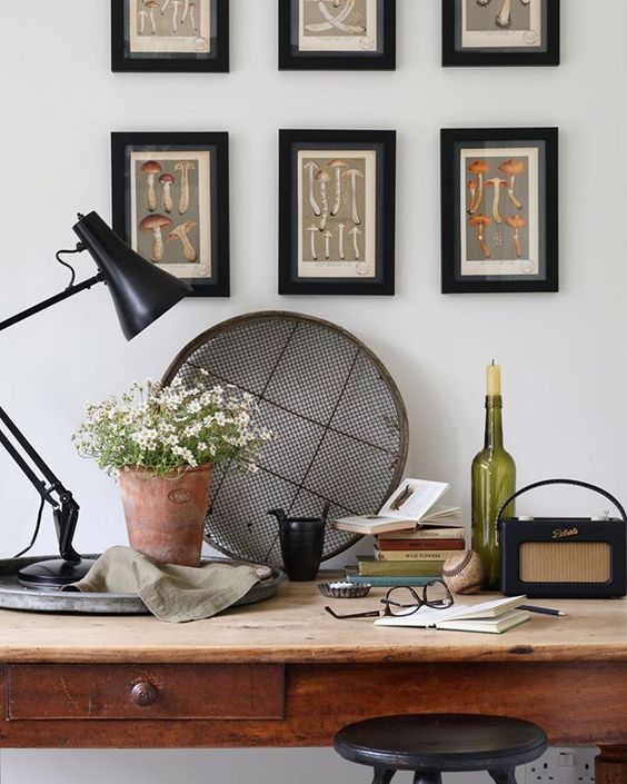 Styling foraged finds. Lifestyle shot of a desk with gardening tools and plant on.