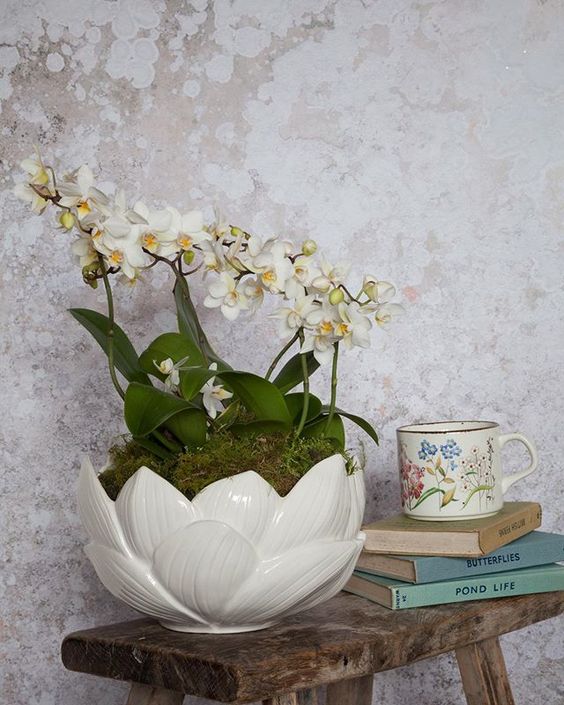 The secret styling tip for adding personality to your home that you need to know! Flowering plant in a white bowl next to vintage books and a mug