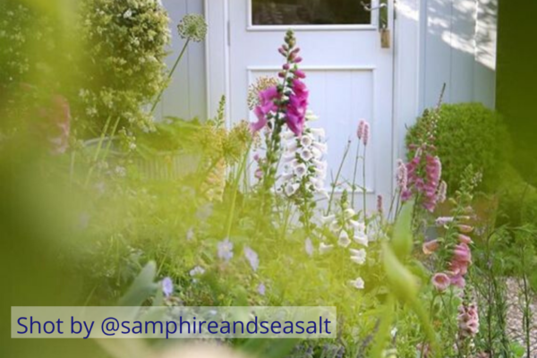 Colourful garden with pink flowers