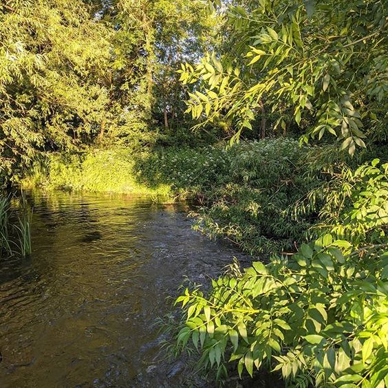 Garden style ideas from UK interior stylists. Beautiful shot of an English lake surrounded by trees.