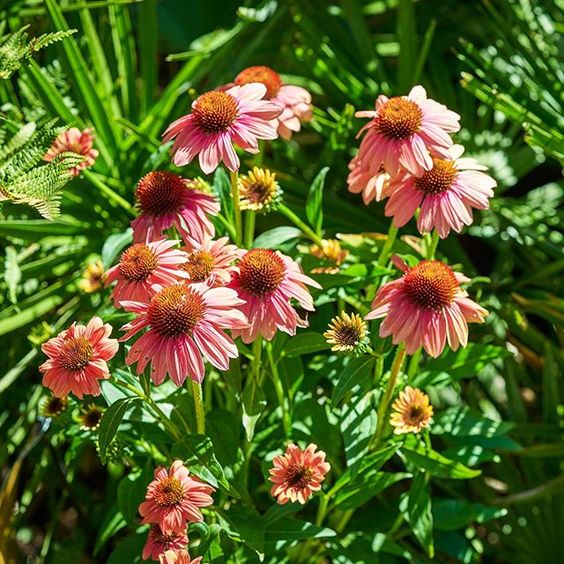 How to stay positive online in 2020. Beautiful summer flowers in a green garden.