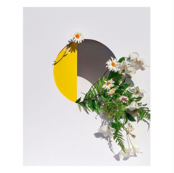 Abstract flat lay styling of some wild flowers inside a hole with yellow card