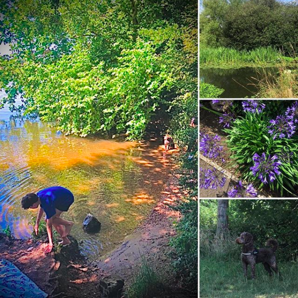 Beautiful shots of peaceful walks by the river in summer