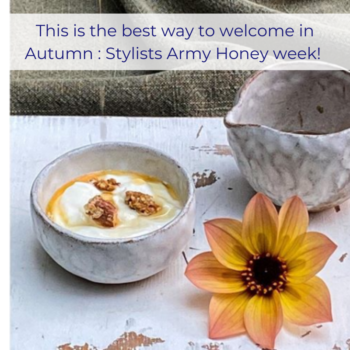 Stylists Army Honey
