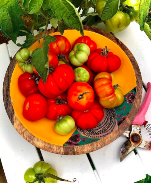 This is what homegrown lockdown produce looks like.