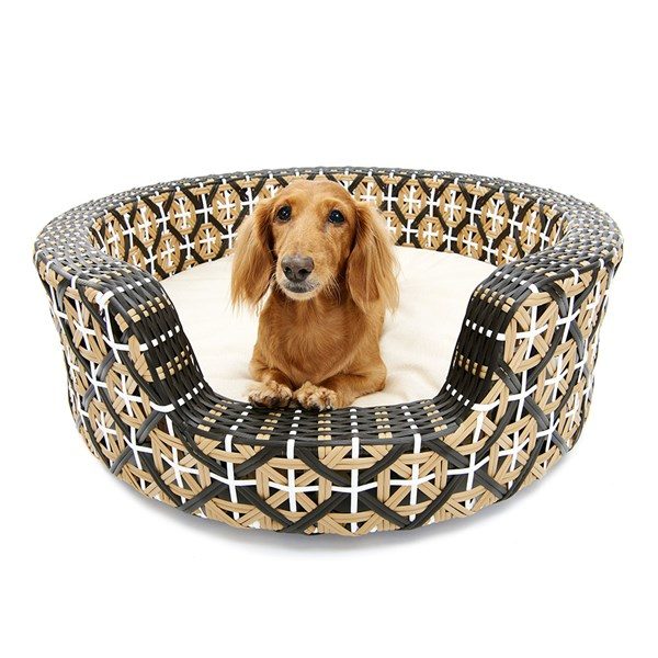 Dog beds you'll want to treat your pooch to,
