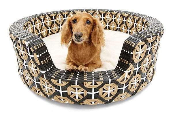 Dog beds you'll want to treat your pooch to, 