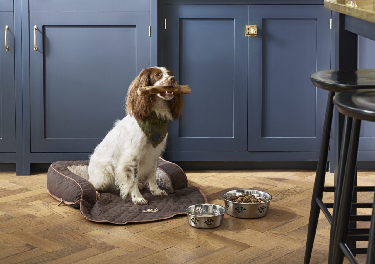 Dog beds you'll want to treat your pooch to,