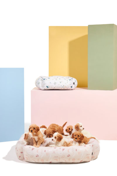 Dog beds you'll want to treat your pooch to,