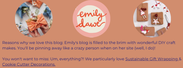 Craft blog featuring sustainable gift wrap ideas