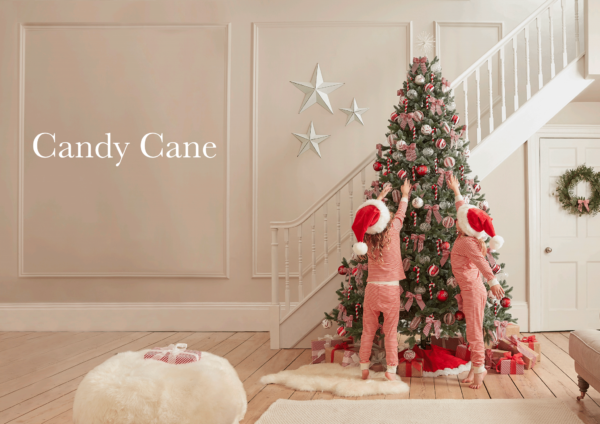 Talking all things Christmas with Cox and Cox