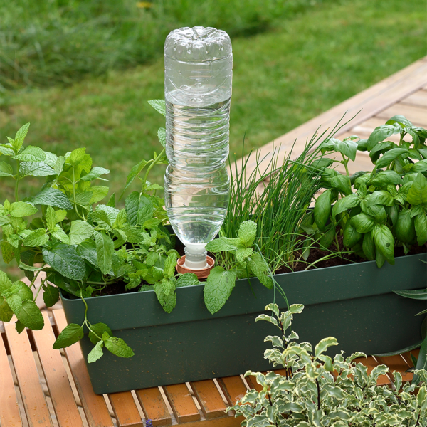 Inside The Garden: March notes