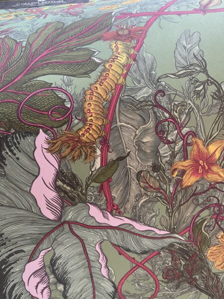 Timorous Beasties new wallpaper collection