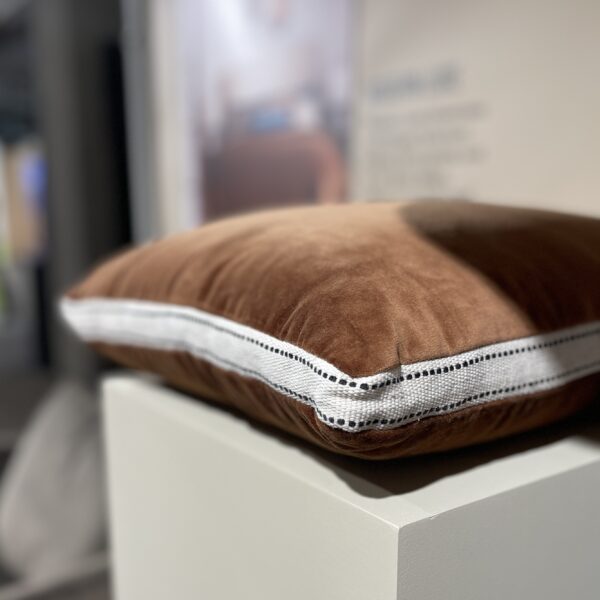 Neptune at the John Lewis Press Launch