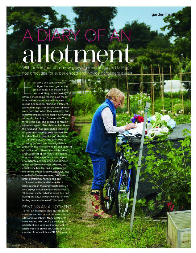 Allotment gardening feataure