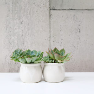 Stoneware Yogurt Pot 