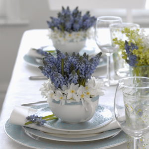 Dining Teacup Woman & Home 