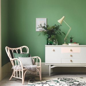 Photographer Damian Russell, Farrow&Ball 