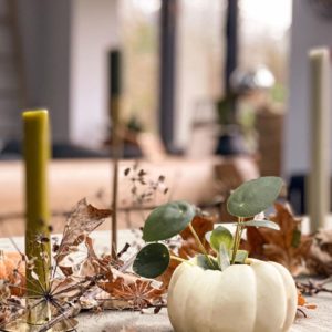 Table Display Autumn 