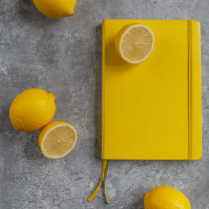 Lemon Study 2020 1/3 