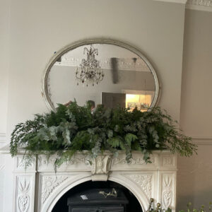 Living room foliage 