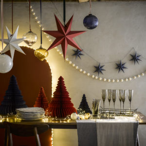 MarieNichols_MaxAttenboroughGT AW NewYears Main0149-2 