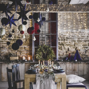MarieNichols_MaxAttenboroughGT AW Xmas Main0132 