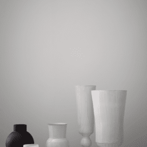 Still Life / Max Attenborough 